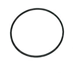 Picture of O-Ring