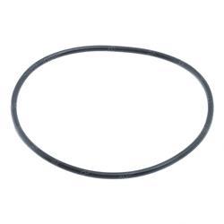 Picture of O-Ring