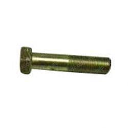 Picture of Bolt
