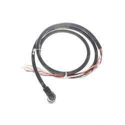 Picture of Molded Cord W/ Special Plug End