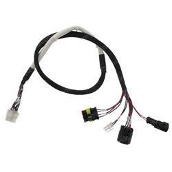 Picture of Wire Harness