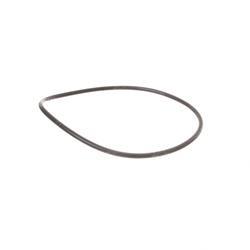 Picture of O-Ring