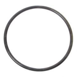 Picture of O-Ring