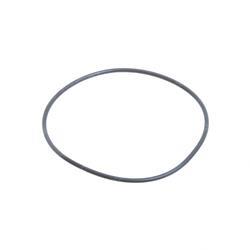 Picture of O-Ring