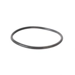 Picture of O-Ring