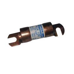 Picture of Fuse 100a