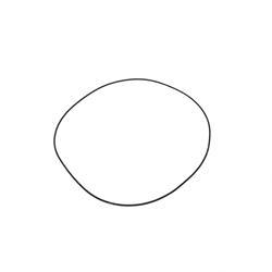 Picture of O-Ring