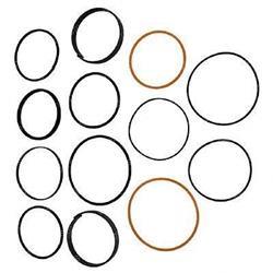 Picture of Seal Kit - Hydraulic Cylinder