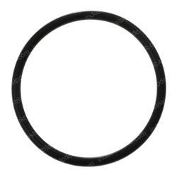 Picture of O-Ring Filter Plug