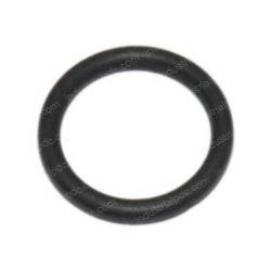 Picture of O Ring 10