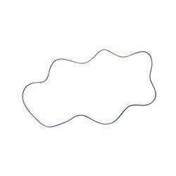 Picture of O-Ring