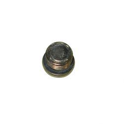 Picture of Plug - Pipe