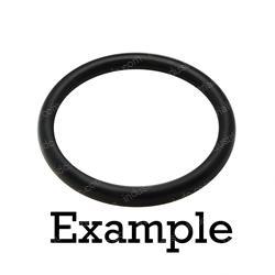 Picture of O-Ring