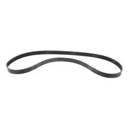 Picture of Belt - Serpentine