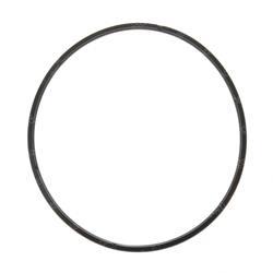 Picture of Piston Seal