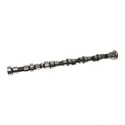 Picture of Camshaft