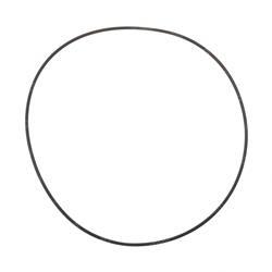 Picture of O-Ring