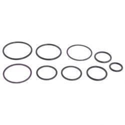 Picture of O-Ring Kit