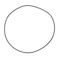 Picture of O-Ring
