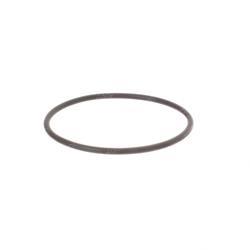 Picture of O-Ring