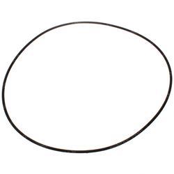 Picture of O-Ring