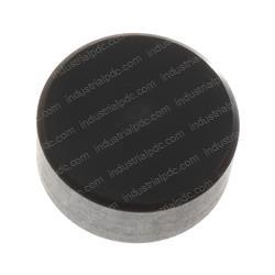 Picture of Plug Nylatron