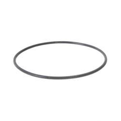 Picture of O-Ring