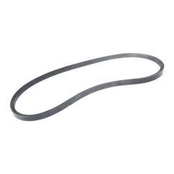 Picture of Belt - Raw Edg