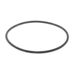 Picture of O-Ring