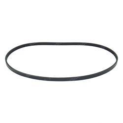 Picture of Ribbed Belt