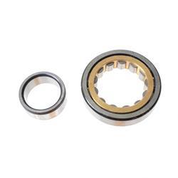 Picture of Bearing