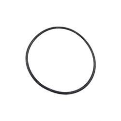 Picture of O-Ring