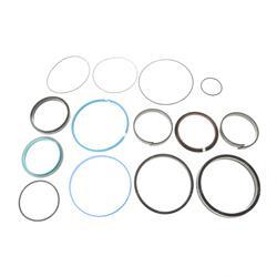 Picture of Seal Kit - Crowd Cylinder