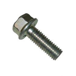 Picture of Bolt