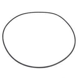 Picture of O-Ring