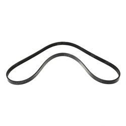 Picture of Belt - Serpentine