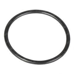 Picture of O-Ring