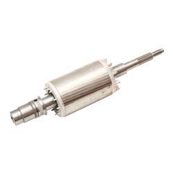 Picture of Rotor Assembly