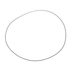 Picture of O-Ring-Intak