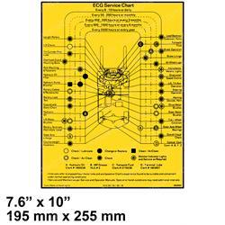 Picture of Decal - Service