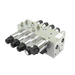 Picture of Manifold