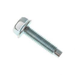 Picture of Bolt