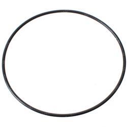 Picture of O-Ring