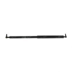 Picture of Door Gas Strut