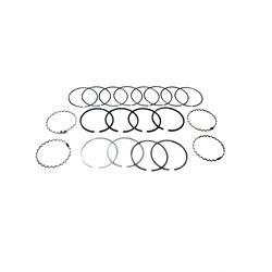 Picture of Ring Set - Standard