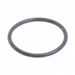 Picture of O-Ring