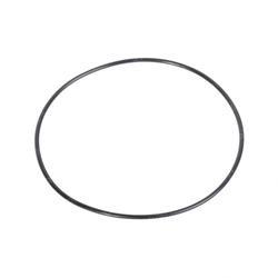 Picture of O-Ring