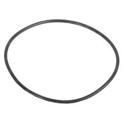 Picture of O-Ring