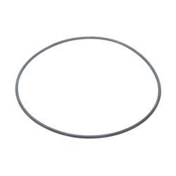 Picture of O-Ring