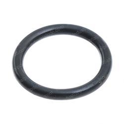 Picture of O-Ring